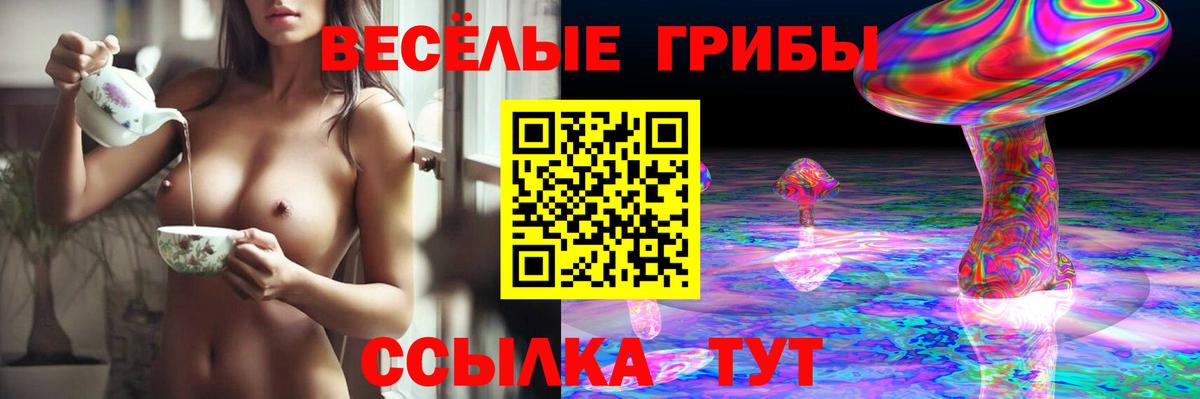 Бор  Псилоцибиновые грибы прущие грибы  Вход с VPN 