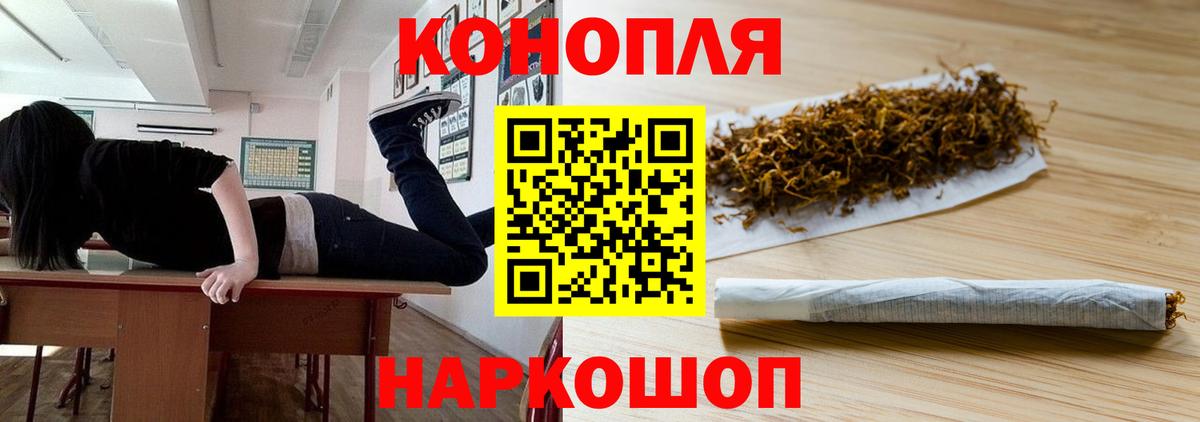 Бор  Бошки Шишки семена  Марихуана индика  Бошки Шишки гибрид  Вход с VPN  Конопля Ganja 